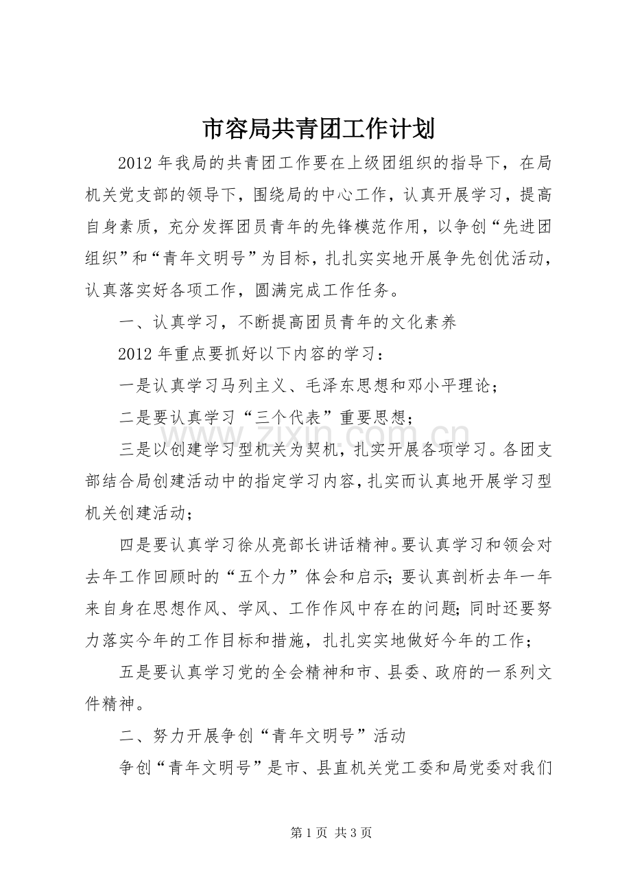 市容局共青团工作计划.docx_第1页