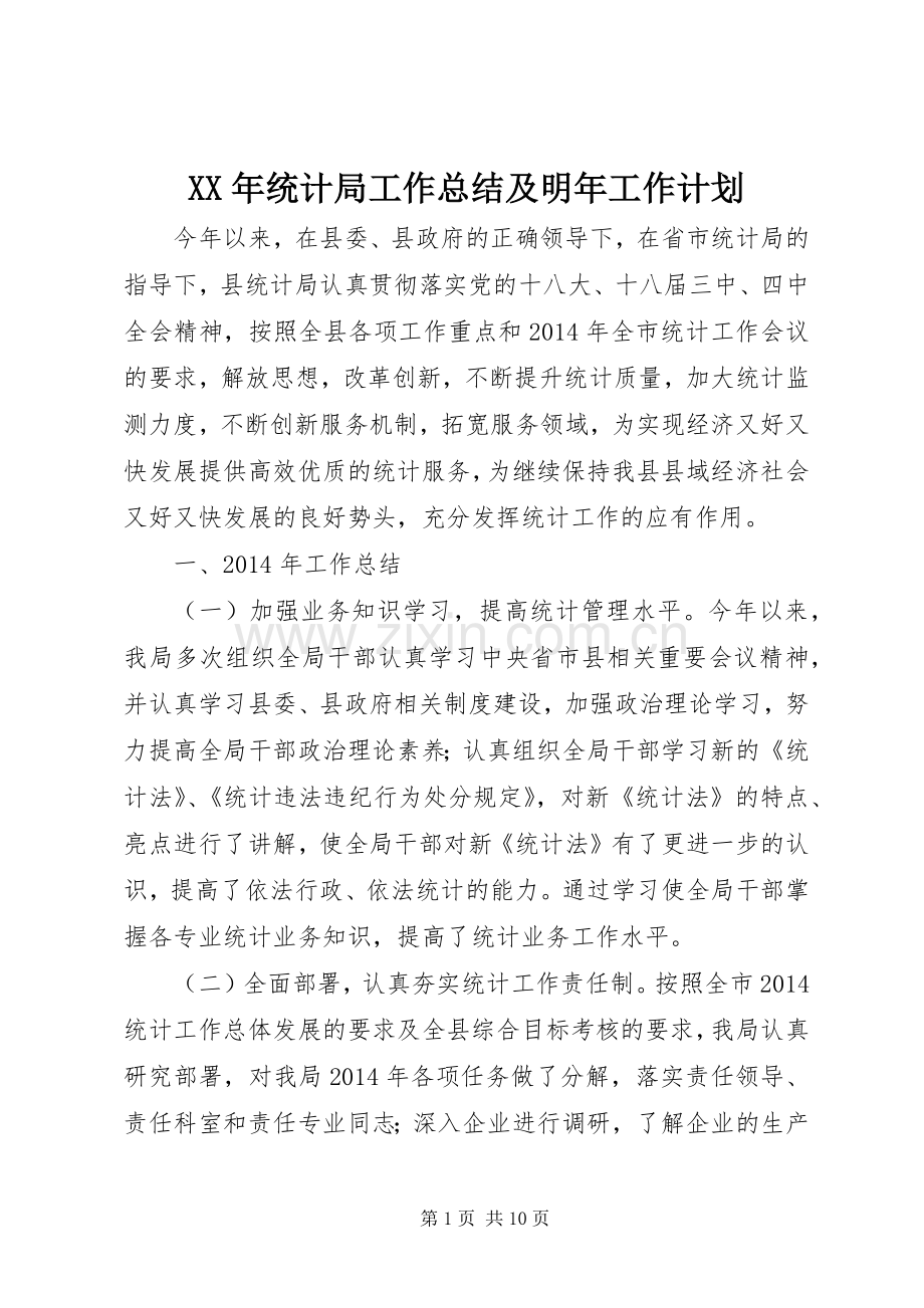 XX年统计局工作总结及明年工作计划.docx_第1页