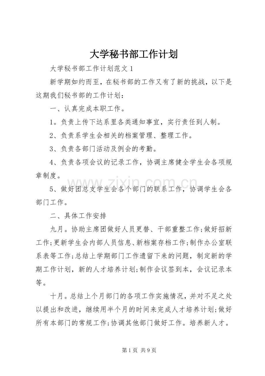 大学秘书部工作计划.docx_第1页