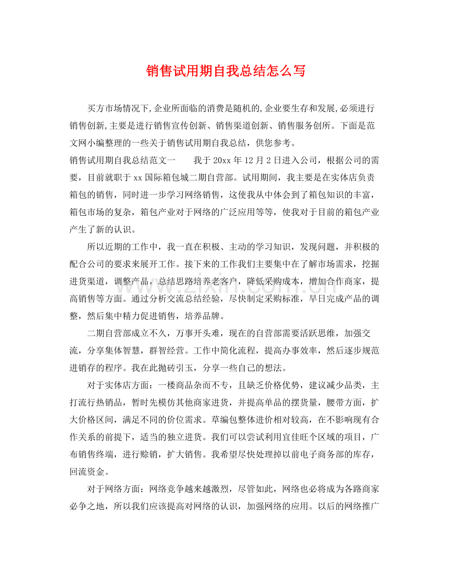 销售试用期自我总结怎么写 .docx_第1页