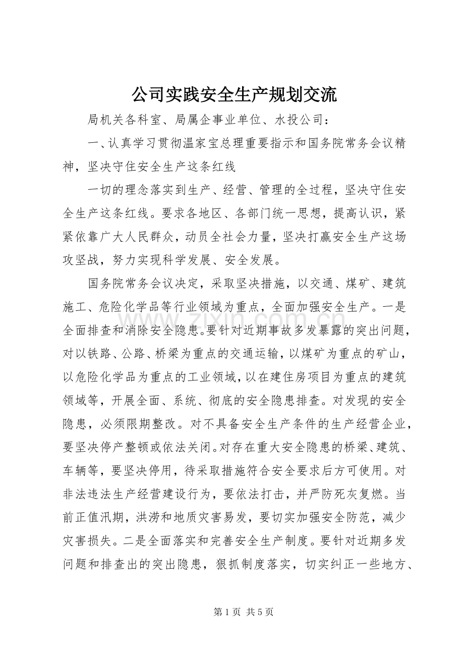 公司实践安全生产规划交流.docx_第1页