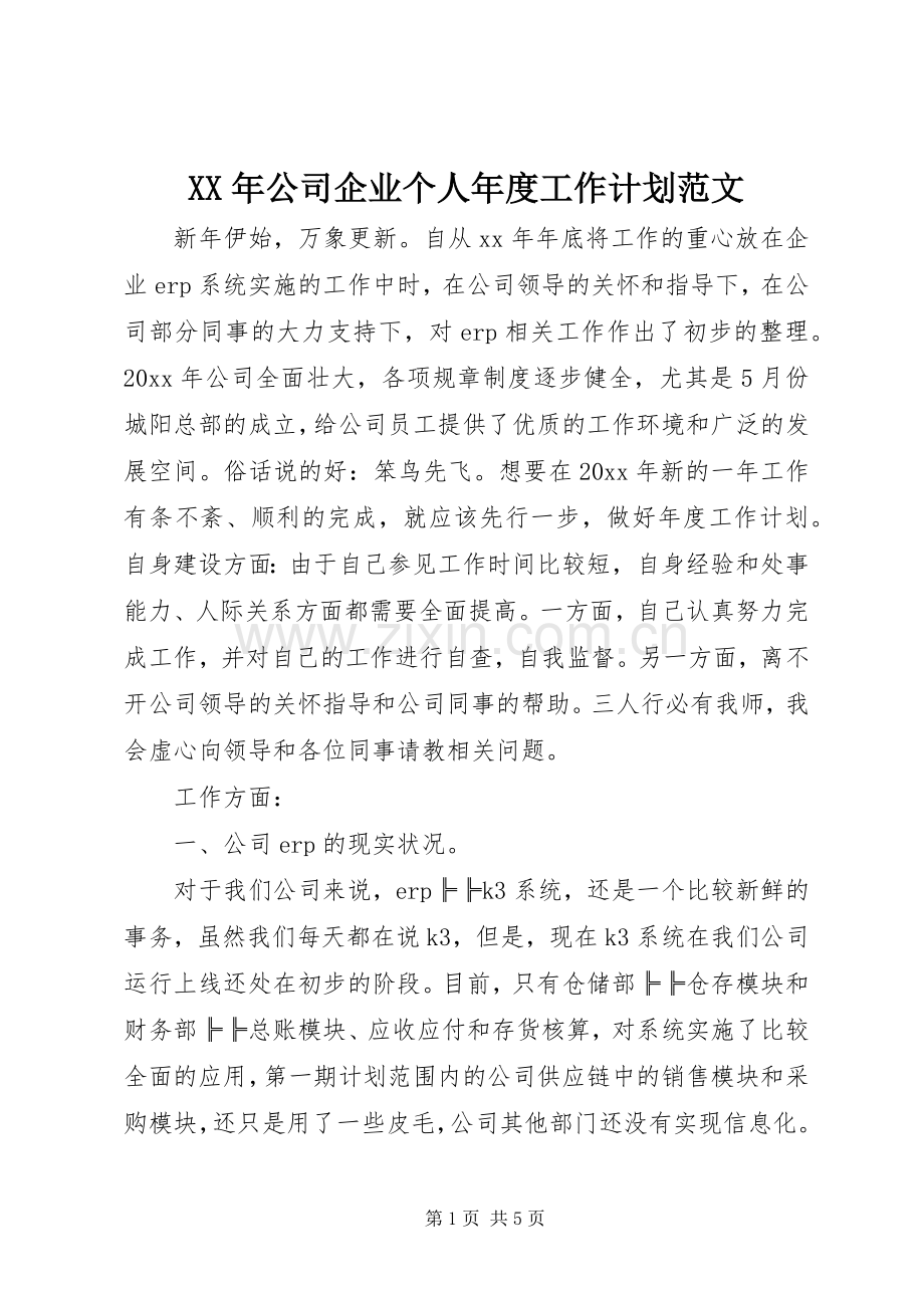 XX年公司企业个人年度工作计划范文.docx_第1页