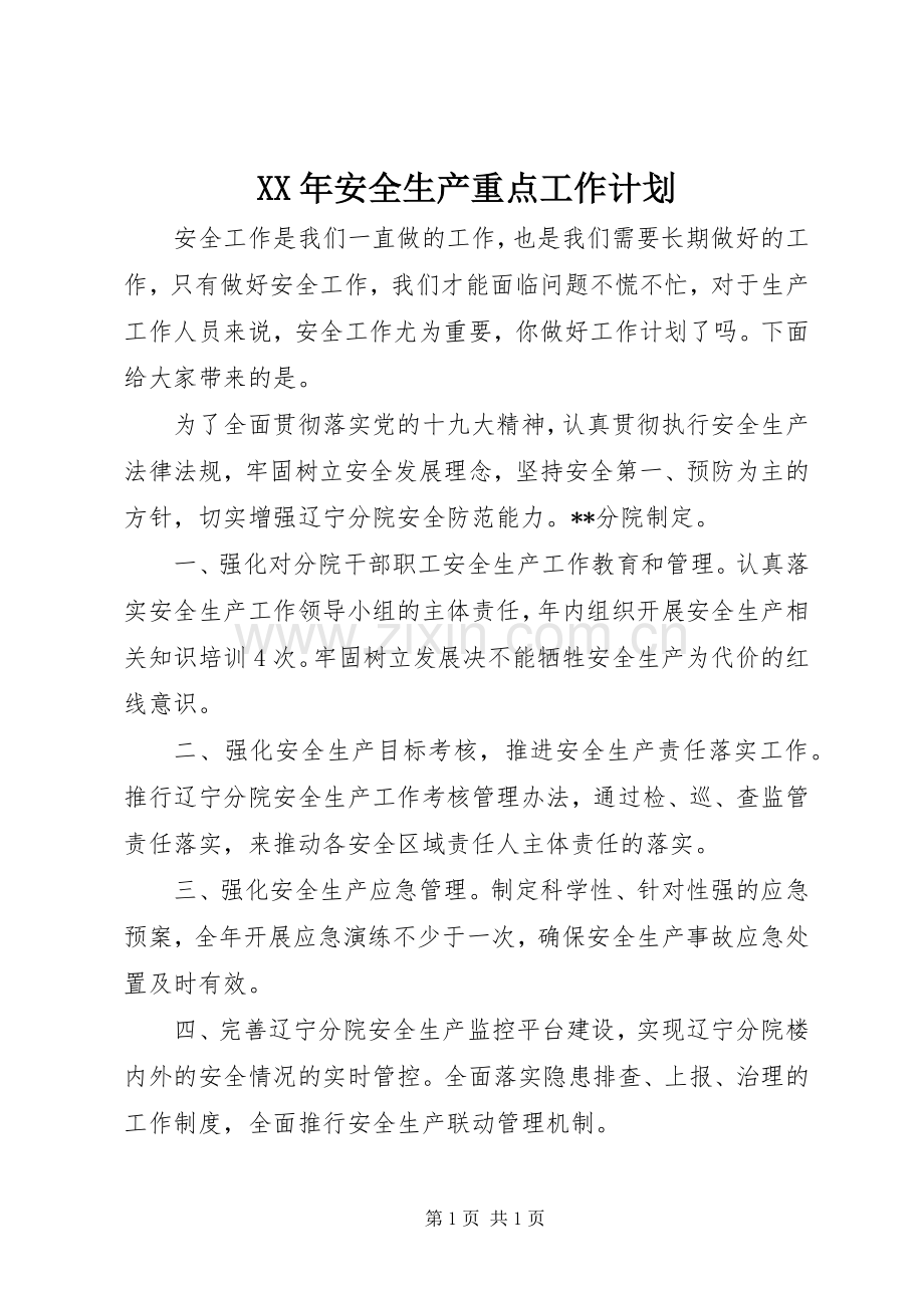 XX年安全生产重点工作计划.docx_第1页