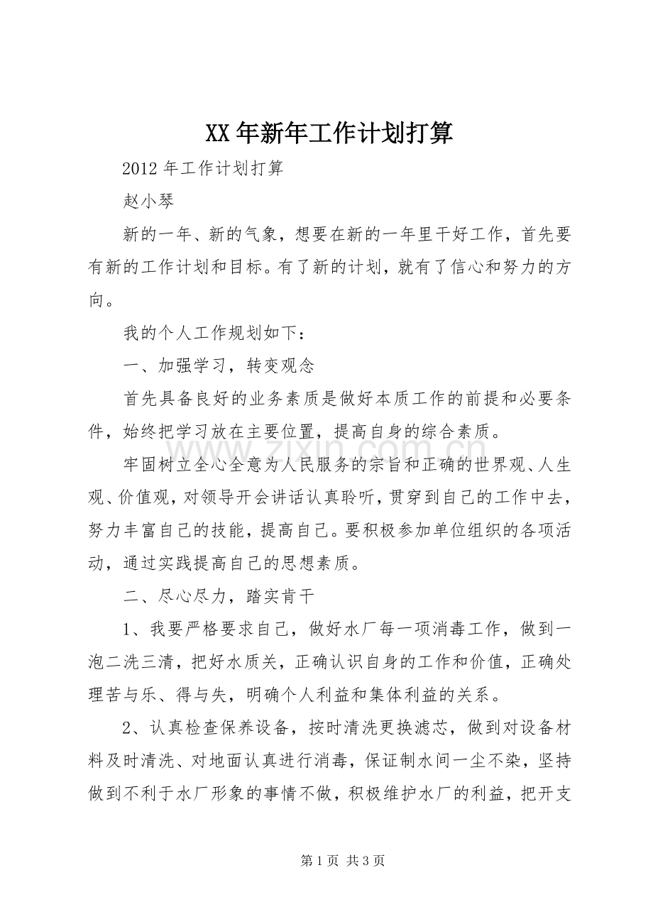 XX年新年工作计划打算.docx_第1页
