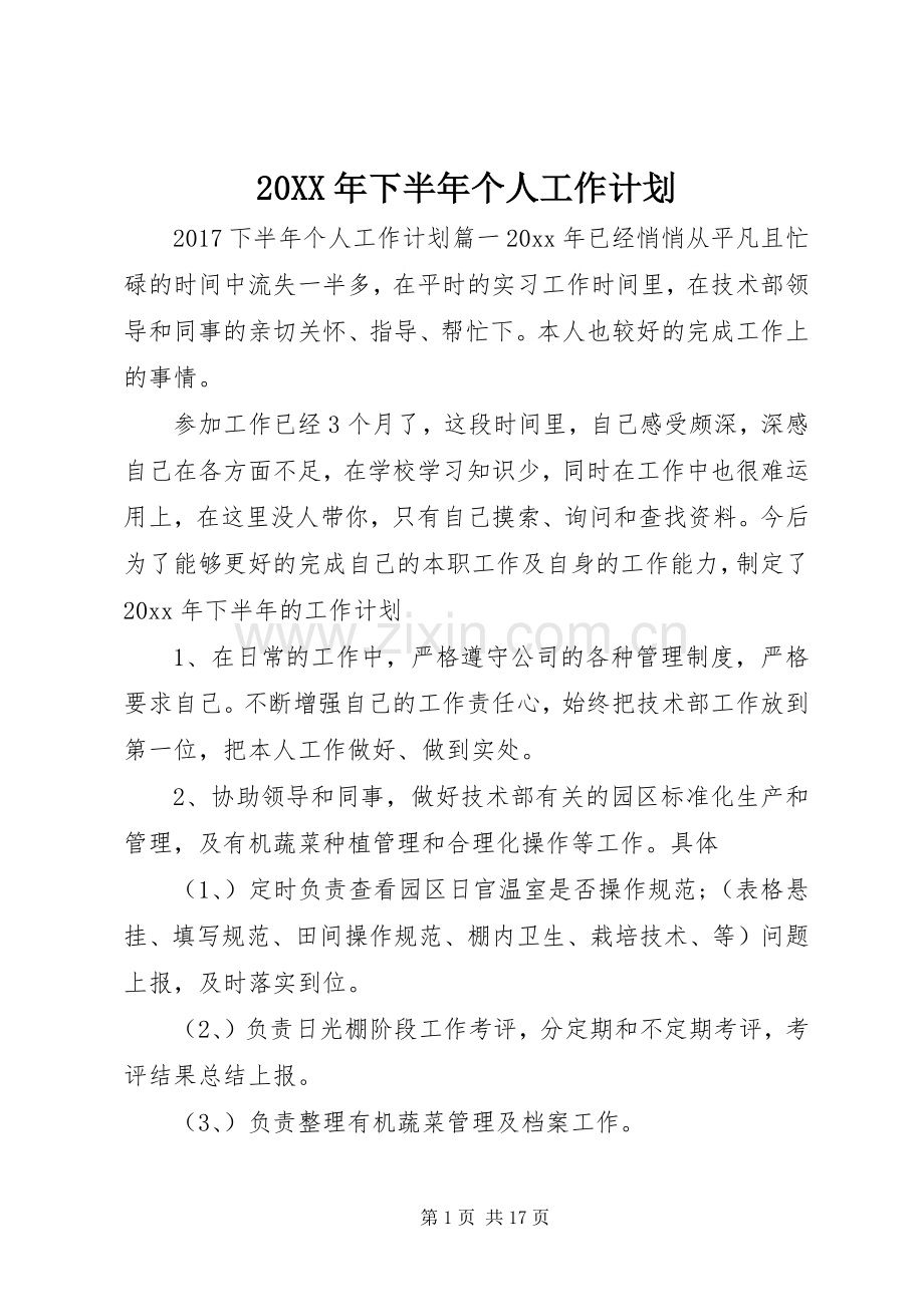 20XX年下半年个人工作计划.docx_第1页