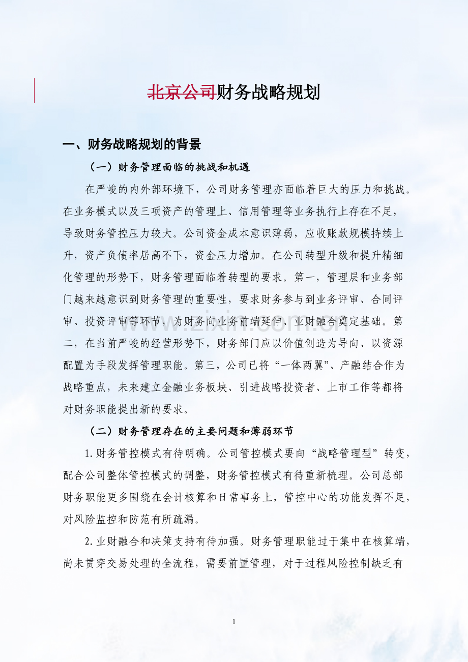 公司财务战略规划.doc_第1页
