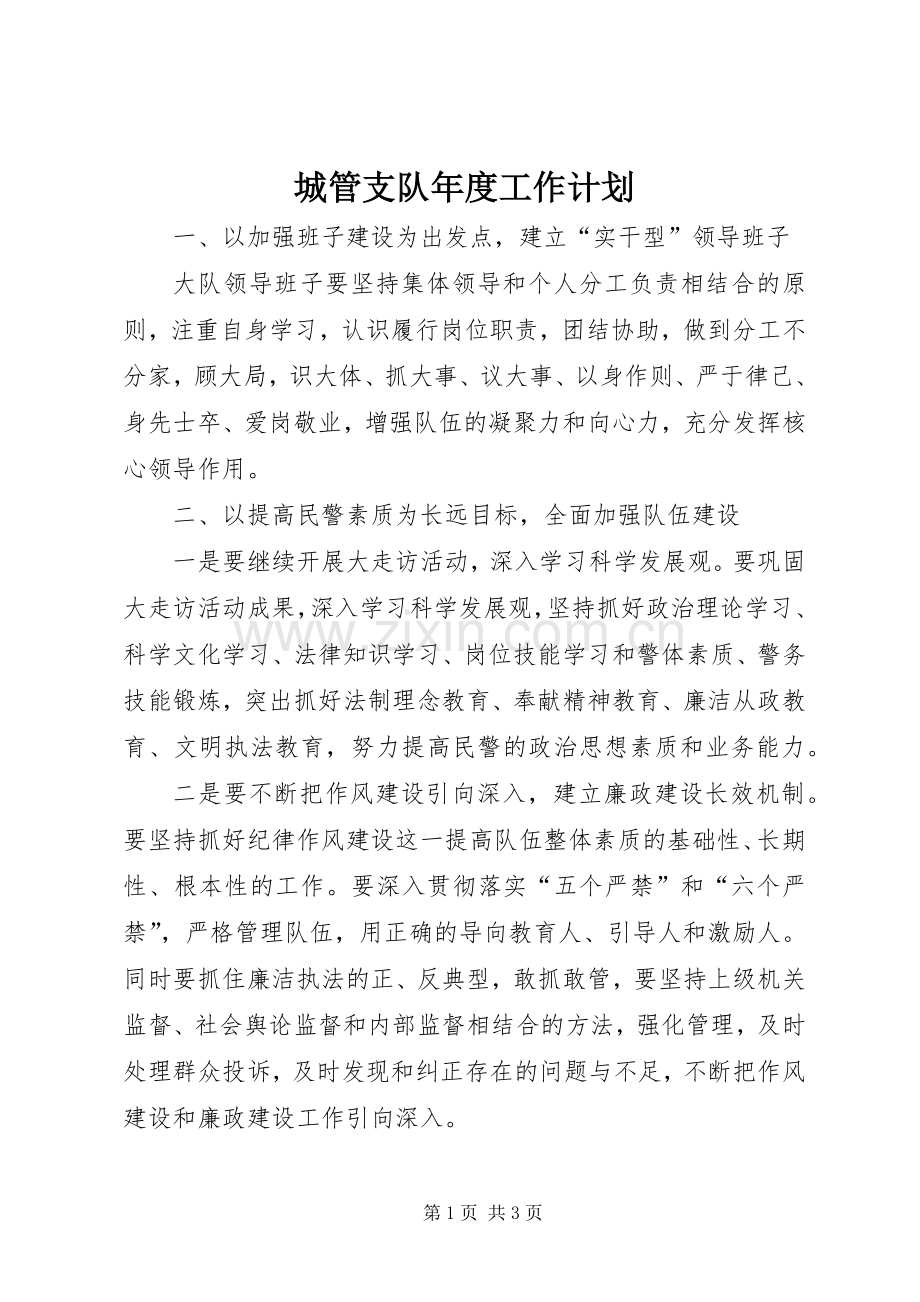 城管支队年度工作计划.docx_第1页