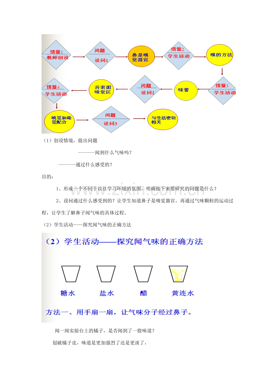 七年级科学上册 第11章 感知与协调 11.4 嗅觉、味觉和触觉 嗅觉和味觉教案设计 牛津上海版-牛津上海版初中七年级上册自然科学教案.doc_第2页