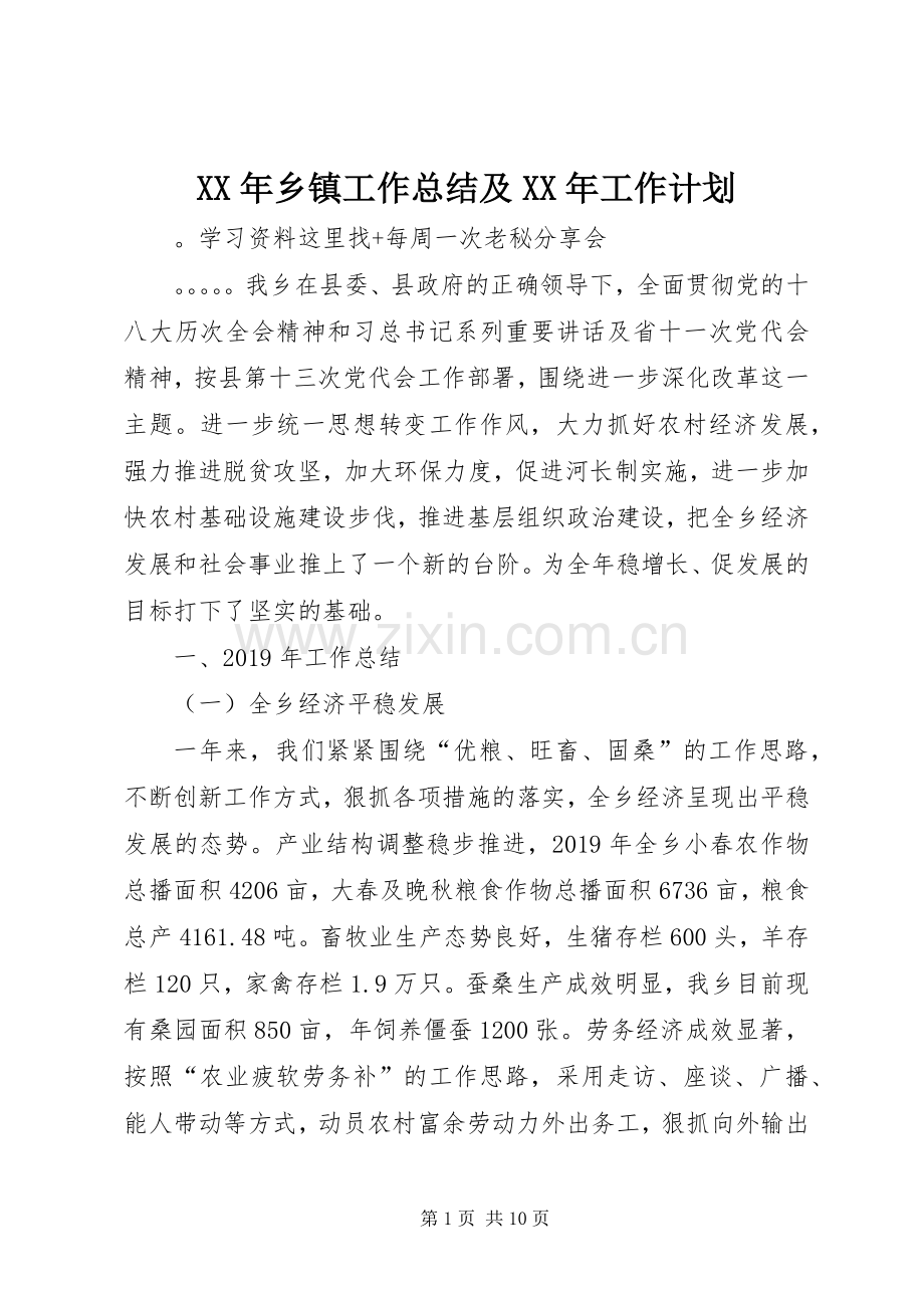 XX年乡镇工作总结及XX年工作计划.docx_第1页