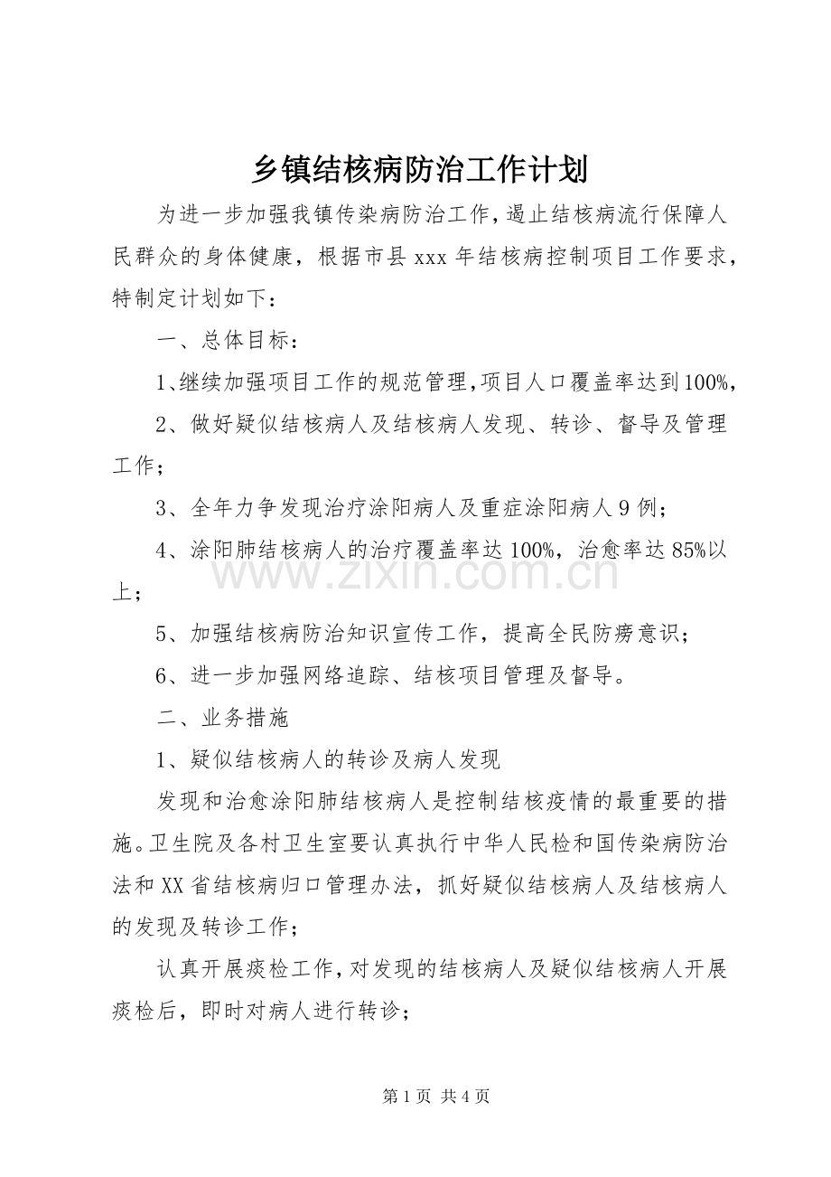乡镇结核病防治工作计划 .docx_第1页