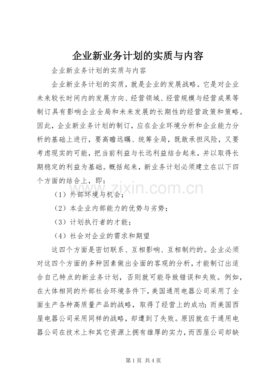 企业新业务计划的实质与内容.docx_第1页