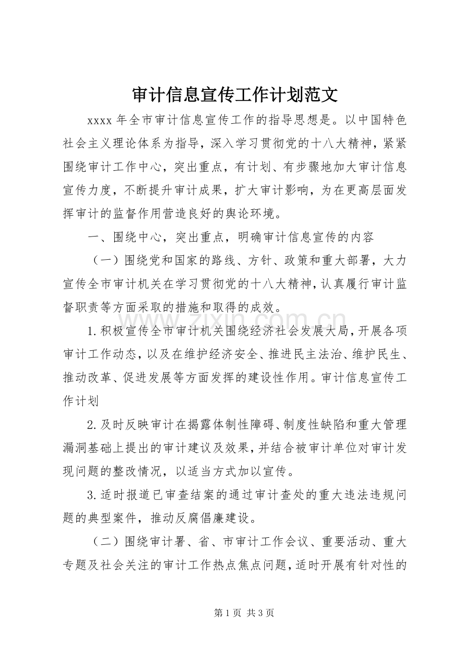 审计信息宣传工作计划范文.docx_第1页