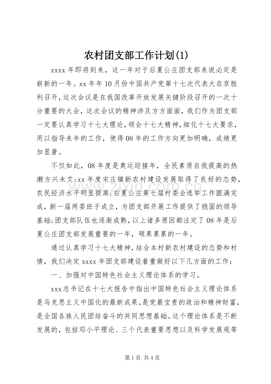 农村团支部工作计划(1).docx_第1页