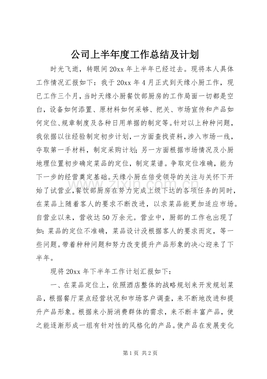 公司上半年度工作总结及计划.docx_第1页