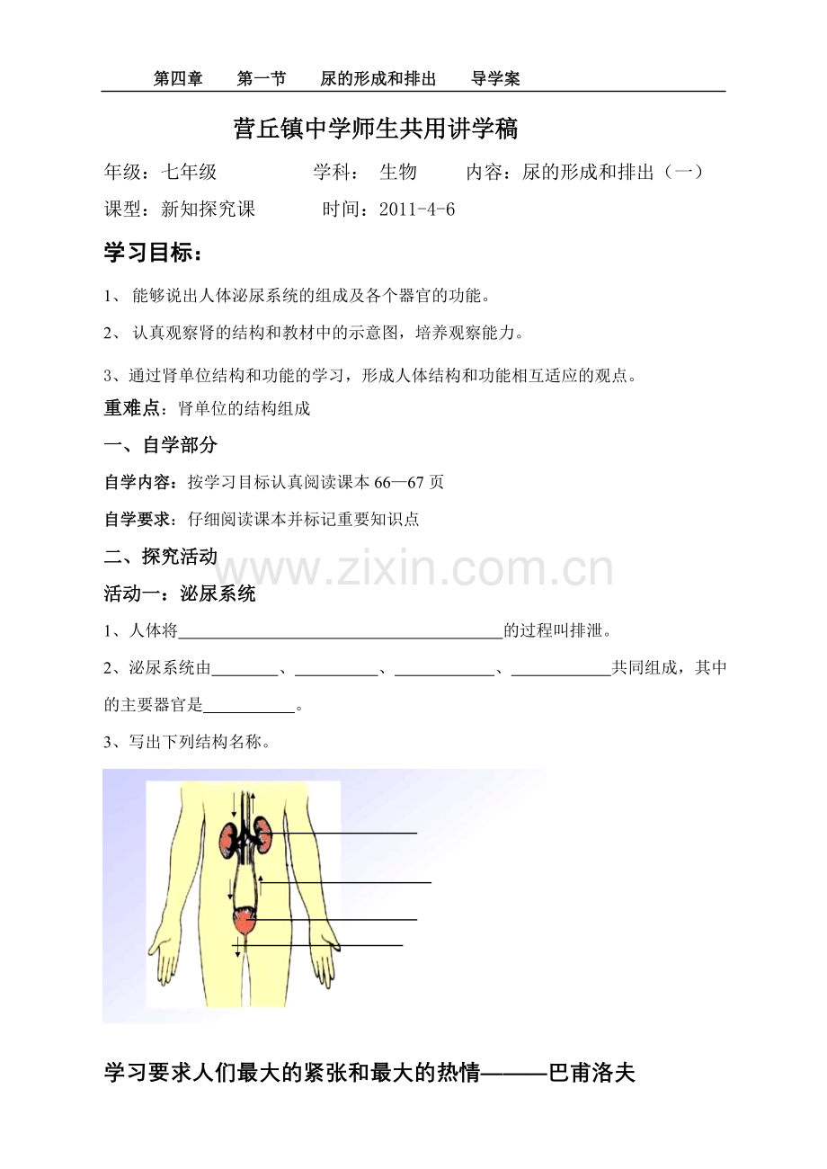 尿形成及排出(一)导学案.doc_第1页