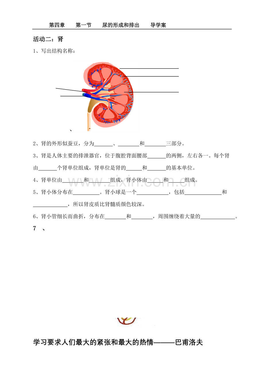 尿形成及排出(一)导学案.doc_第2页