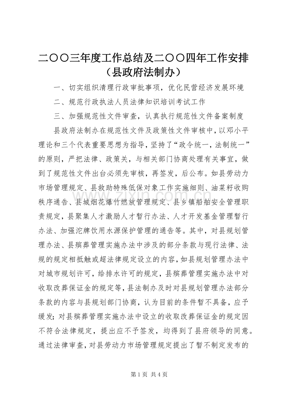 二○○三年度工作总结及二○○四年工作安排（县政府法制办）.docx_第1页