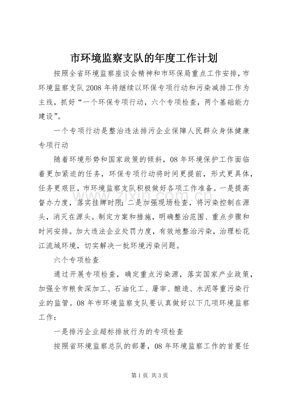 市环境监察支队的年度工作计划.docx_第1页