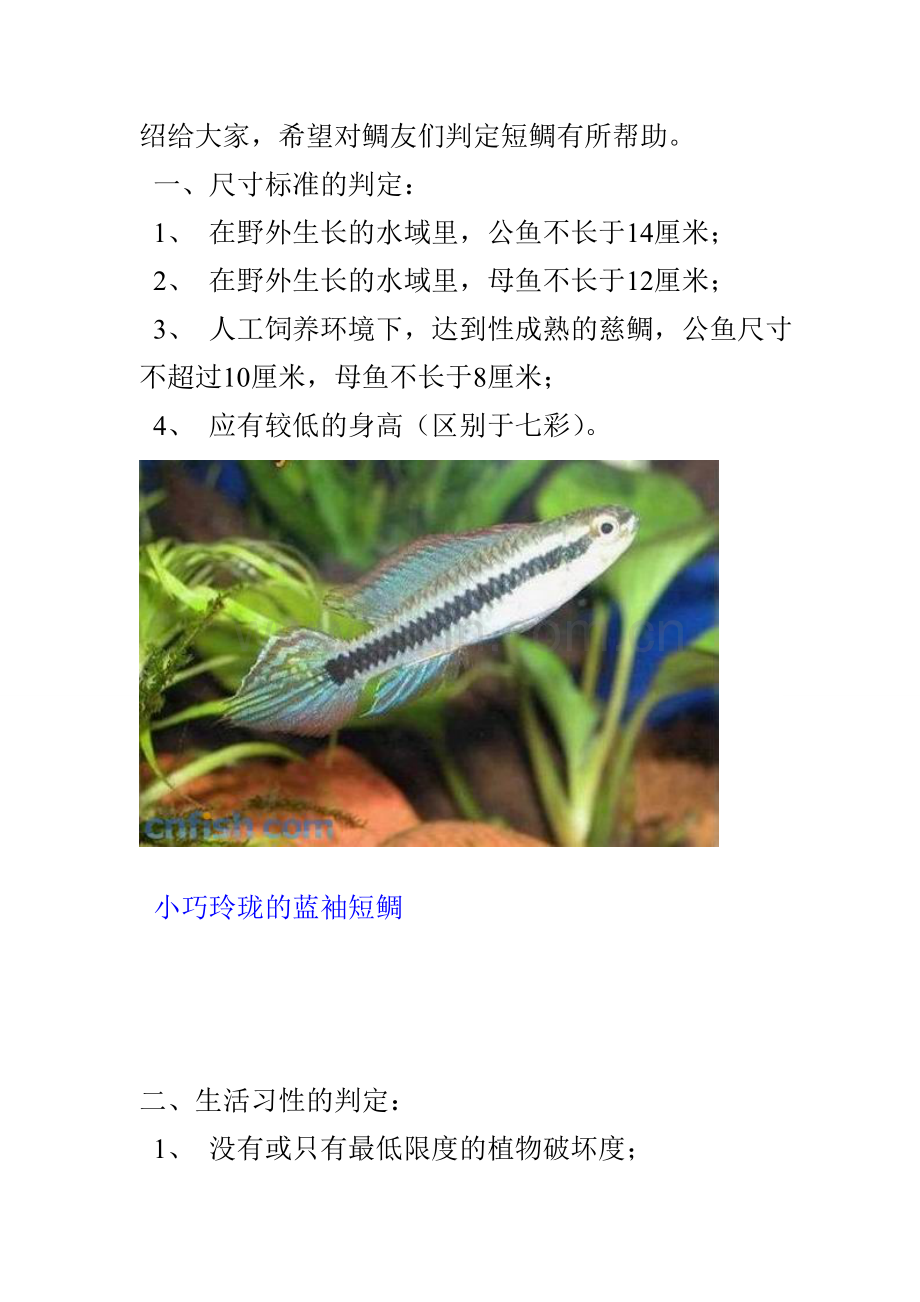 南美短鲷A属之品系与鉴赏.doc_第2页
