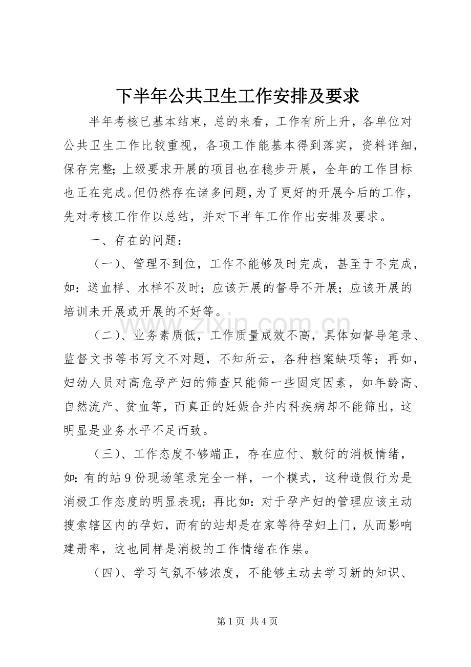 下半年公共卫生工作安排及要求 .docx_第1页