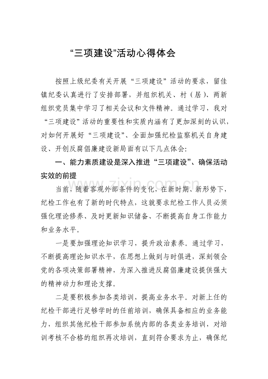 纪检监察系统三项建设征文.doc_第1页