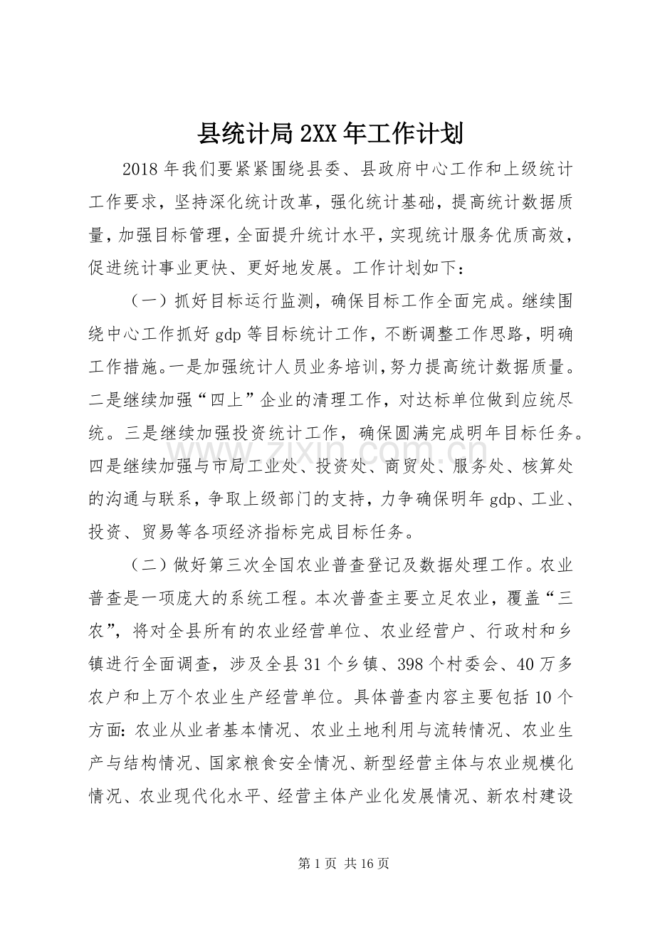 县统计局2XX年工作计划.docx_第1页