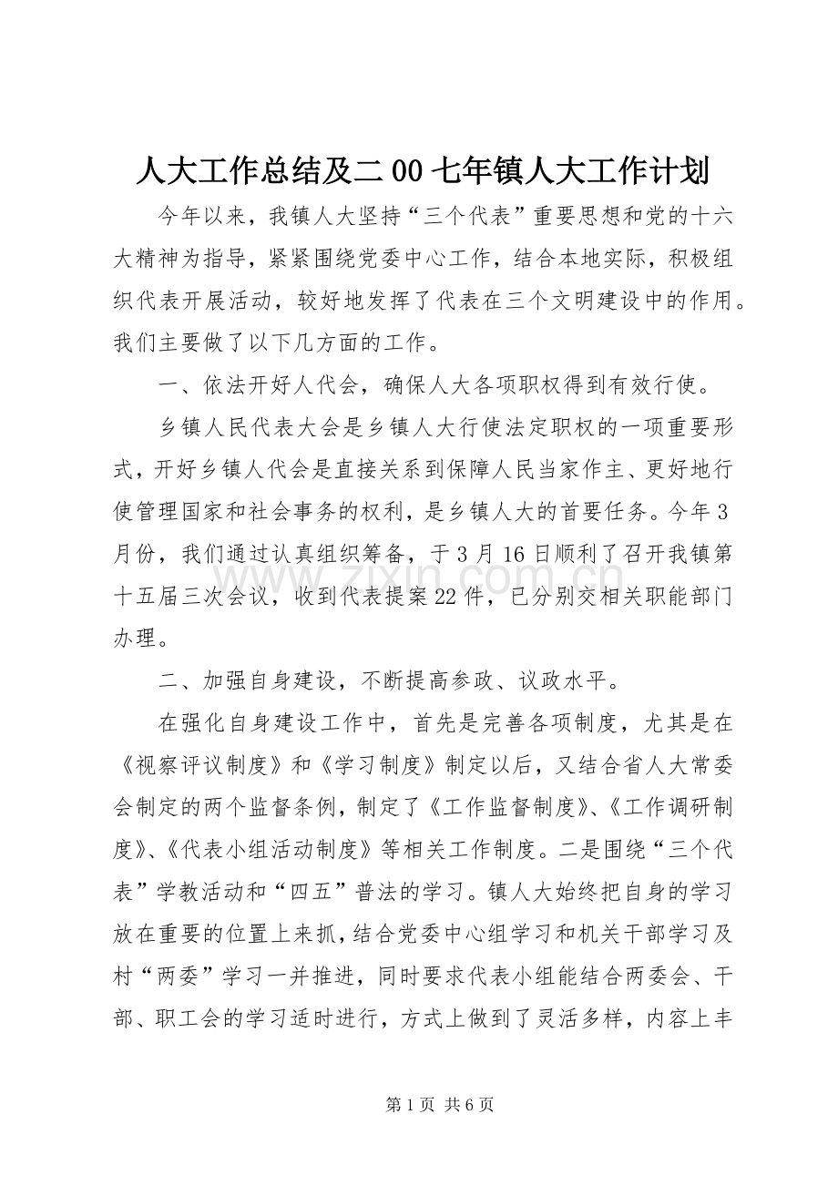 人大工作总结及二00七年镇人大工作计划.docx_第1页