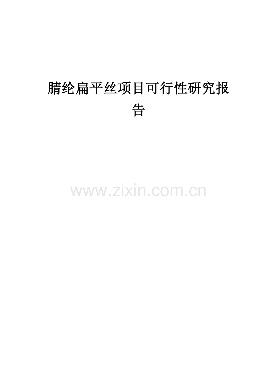 腈纶扁平丝项目可行性研究报告.docx_第1页