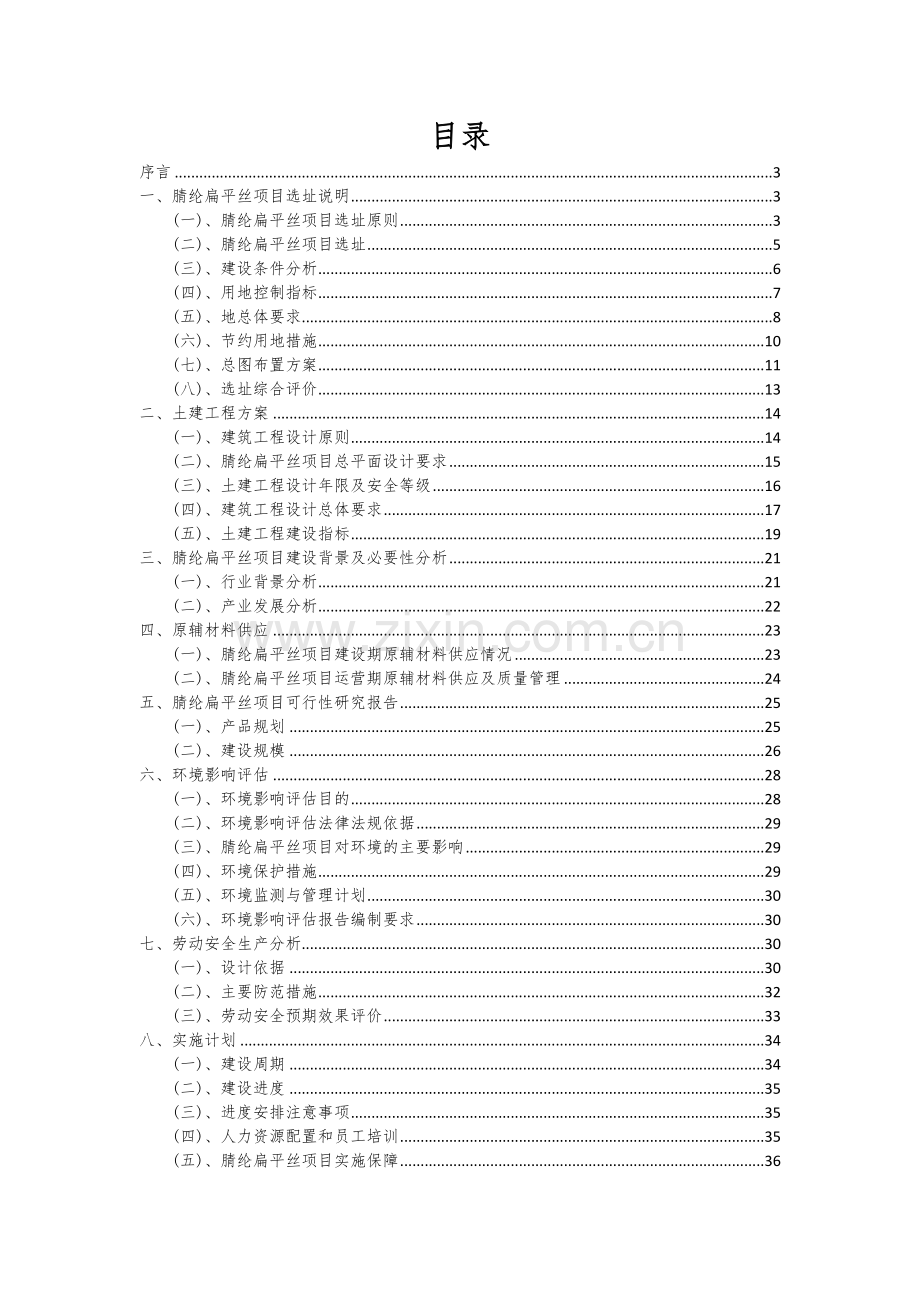 腈纶扁平丝项目可行性研究报告.docx_第2页