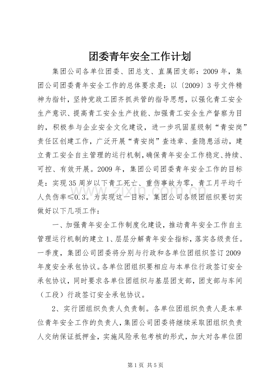 团委青年安全工作计划 .docx_第1页