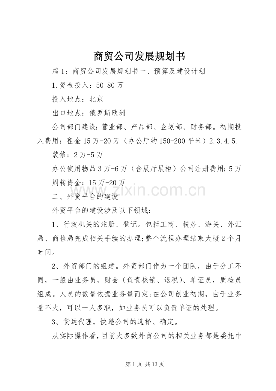 商贸公司发展规划书.docx_第1页