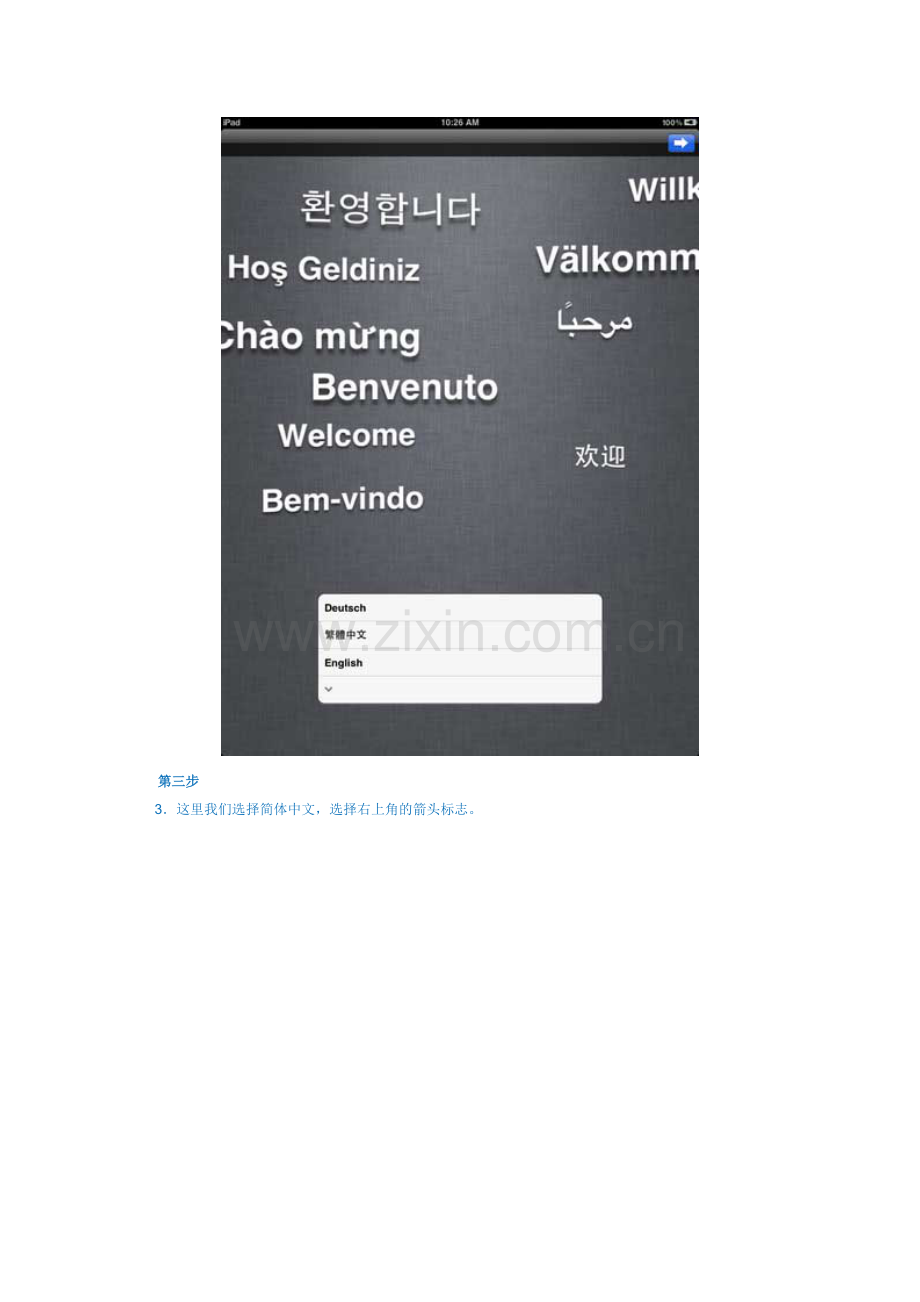 iPad新手教程_怎么激活iPad？.doc_第2页