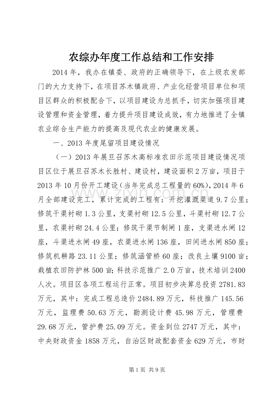 农综办年度工作总结和工作安排.docx_第1页