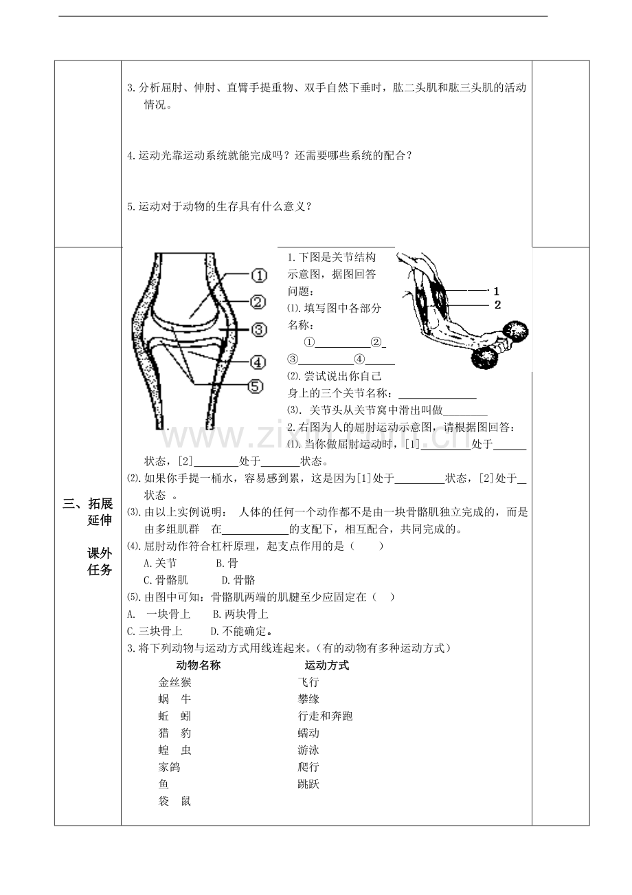 第一节-动物的运动-导学案.doc_第2页