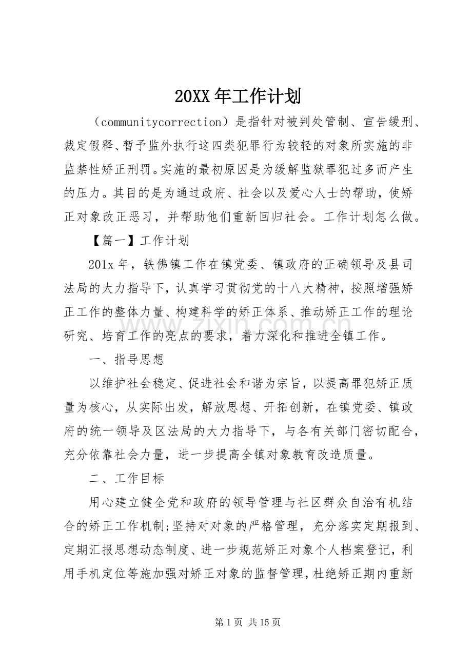 20XX年工作计划.docx_第1页