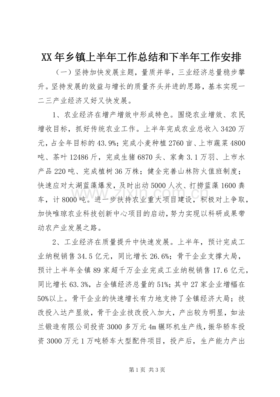 XX年乡镇上半年工作总结和下半年工作安排 .docx_第1页
