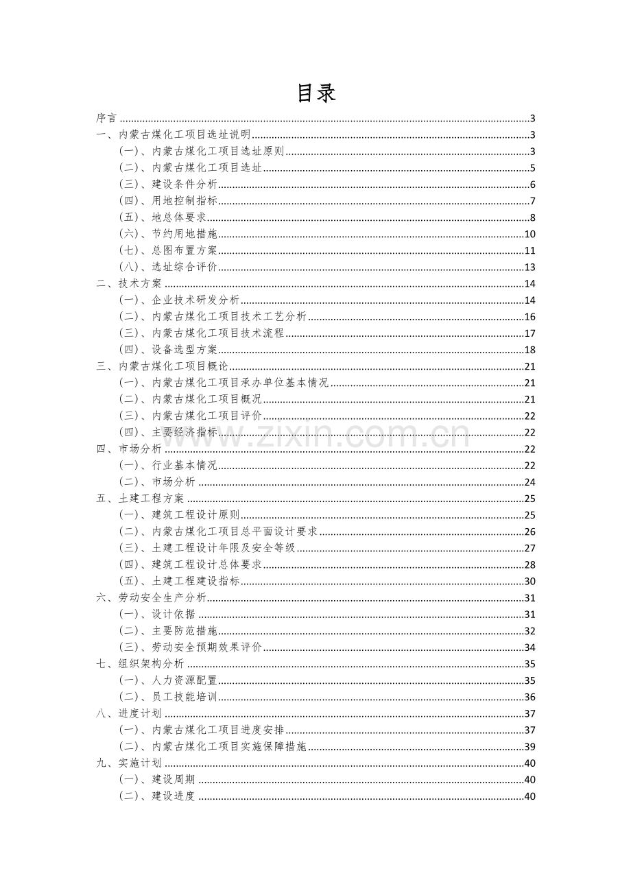 内蒙古煤化工项目可行性研究报告.docx_第2页