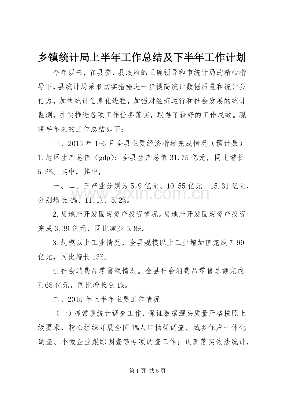 乡镇统计局上半年工作总结及下半年工作计划 .docx_第1页