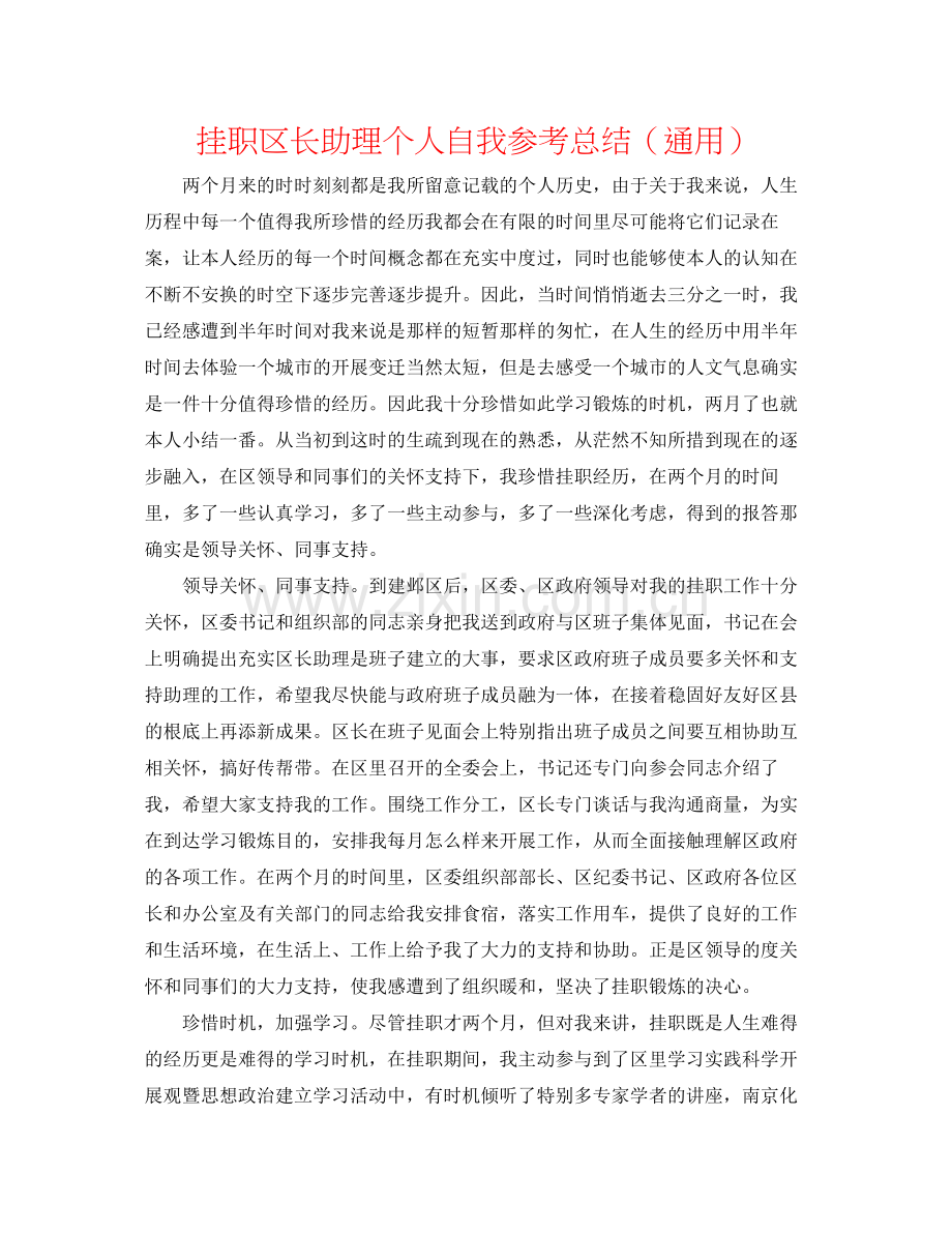 挂职区长助理个人自我参考总结（通用）.docx_第1页