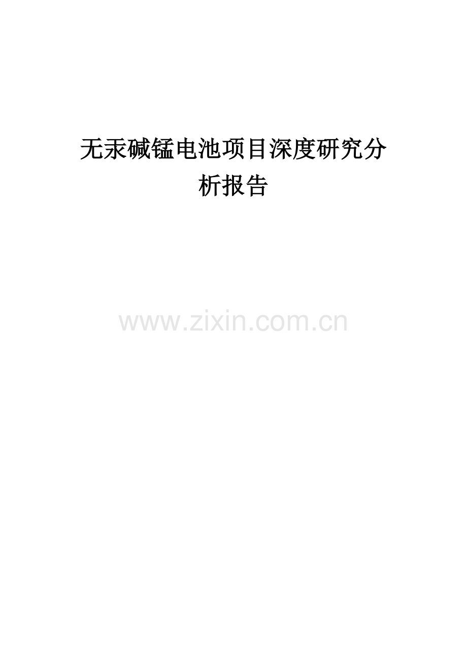 无汞碱锰电池项目深度研究分析报告.docx_第1页