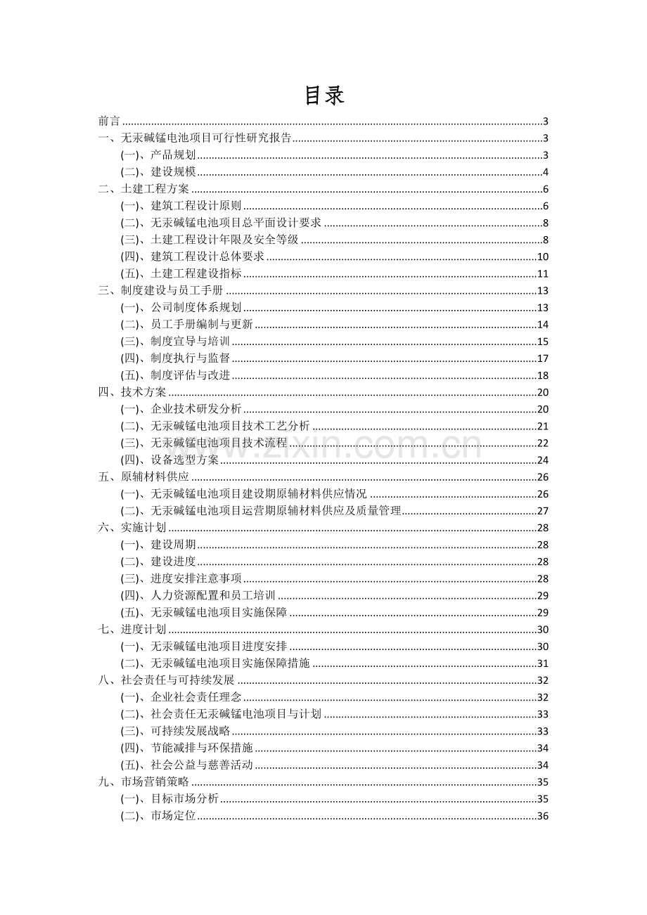 无汞碱锰电池项目深度研究分析报告.docx_第2页