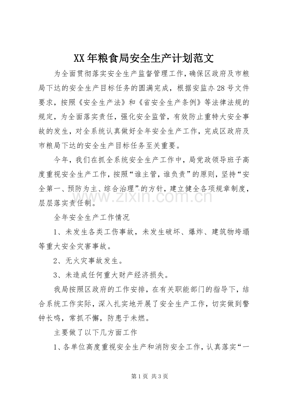 XX年粮食局安全生产计划范文.docx_第1页