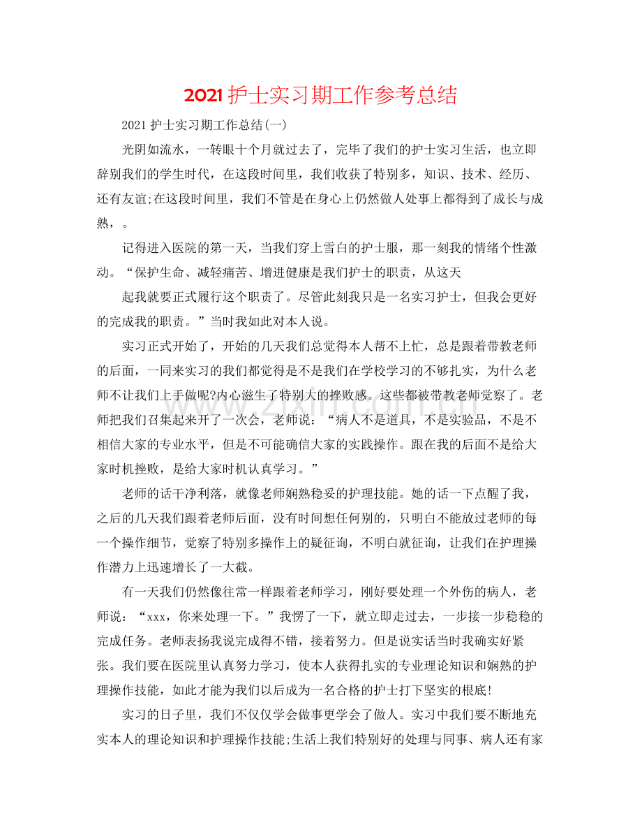 护士实习期工作参考总结.docx_第1页