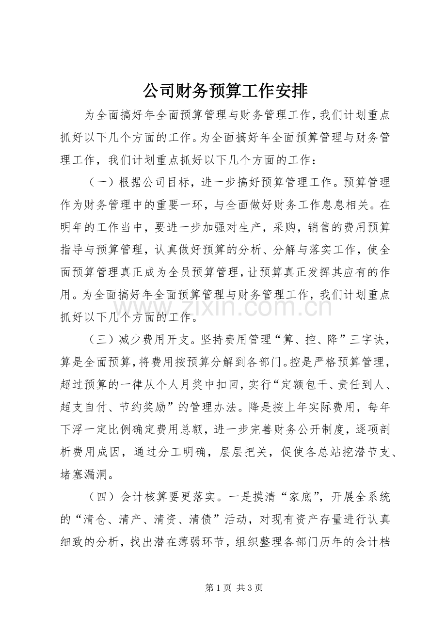 公司财务预算工作安排.docx_第1页