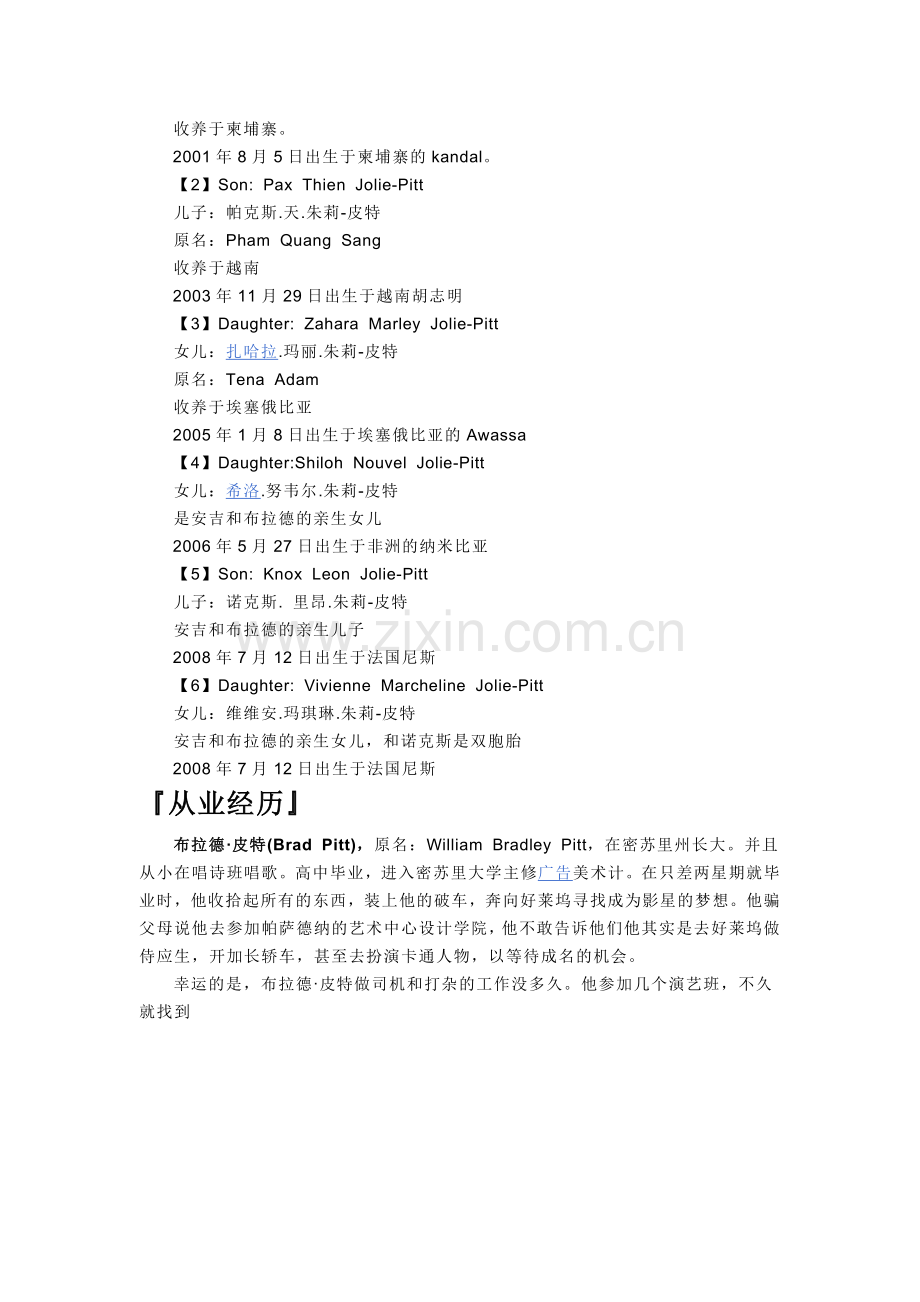 布拉德·皮特.doc_第2页