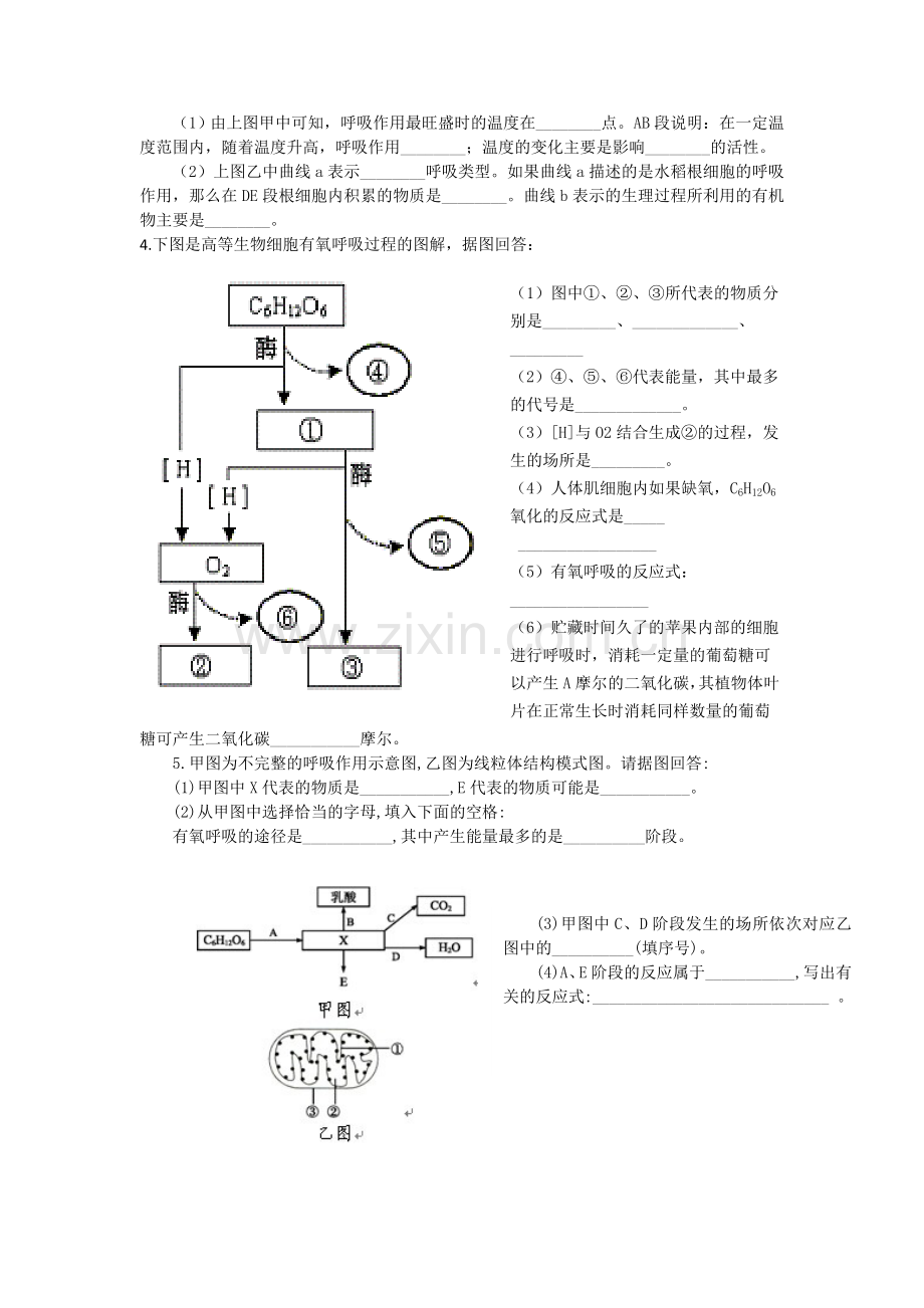 细胞呼吸习题.doc_第2页
