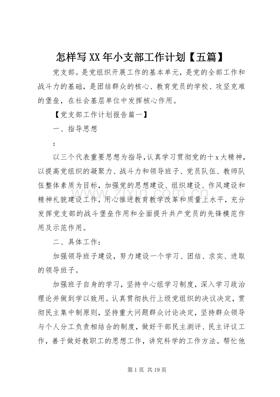 怎样写XX年小支部工作计划【五篇】.docx_第1页