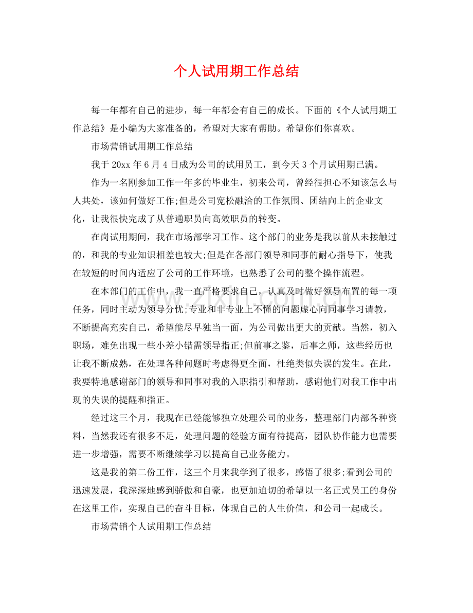 个人试用期工作总结 .docx_第1页