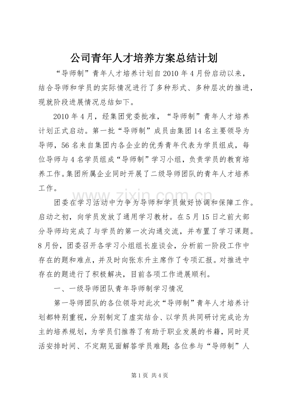 公司青年人才培养方案总结计划.docx_第1页