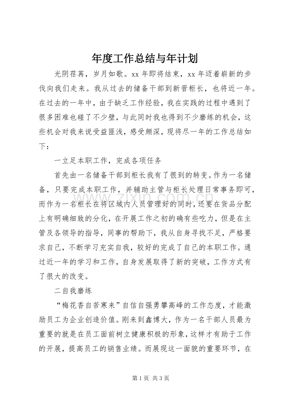 年度工作总结与年计划 .docx_第1页